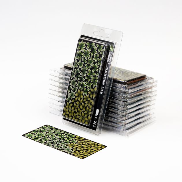 Plantain Lily | Laser Plants