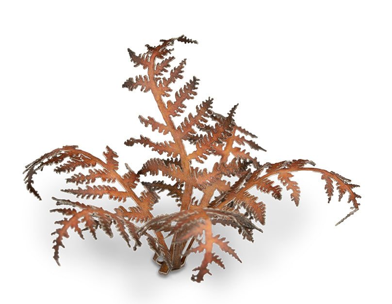 Dry Bracken | Laser Plants