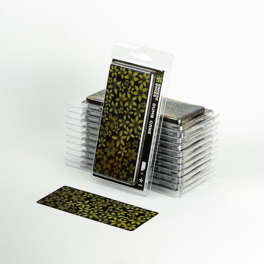 Dumb Cane | Laser Plants