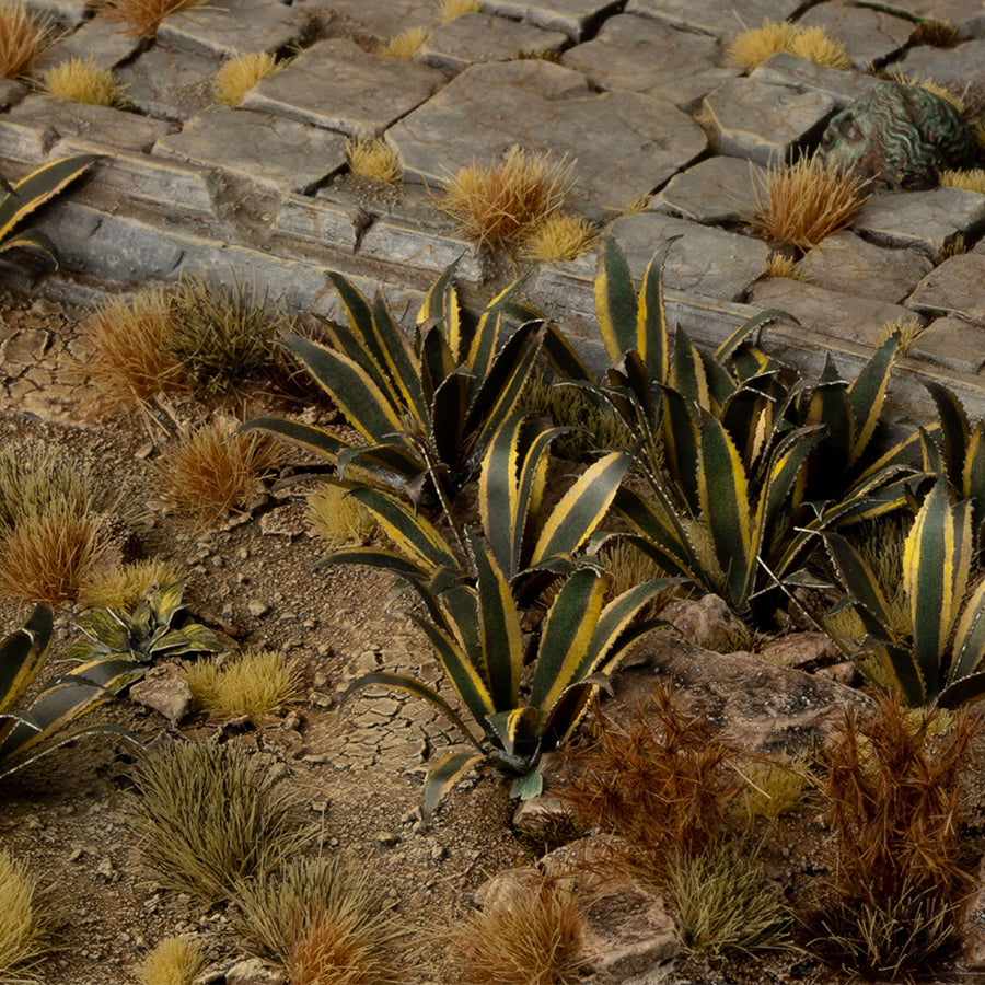 Agave | Laser Plants