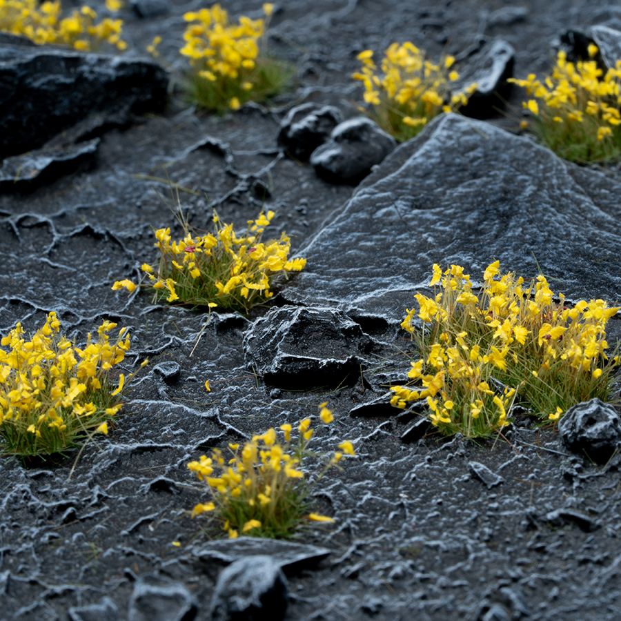 Yellow Flowers Tufts